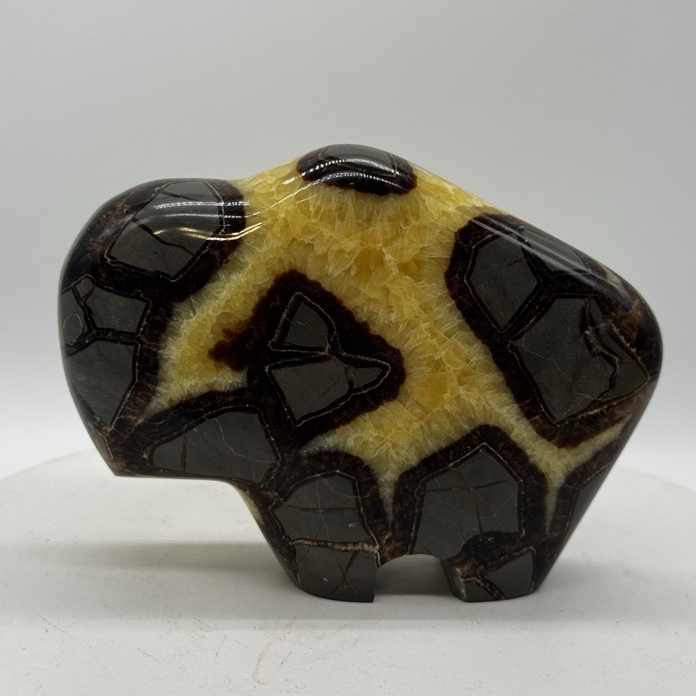 Septarian Nodule Buffalo Bison Carving Polished Stone Crystal 4.5" Carved